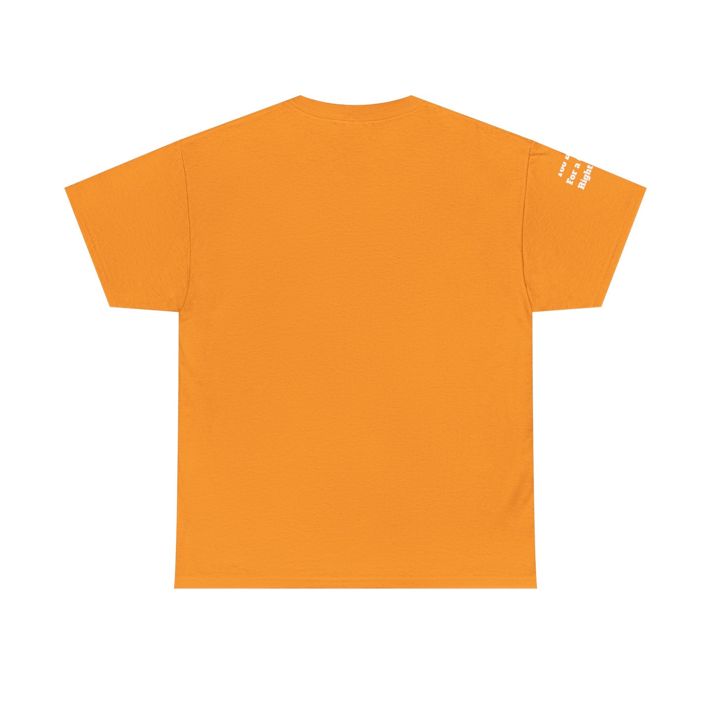 Too Broke for a Crisis Right Now, Humorous, Sarcastic T-Shirt, Frontside Graphic Tee