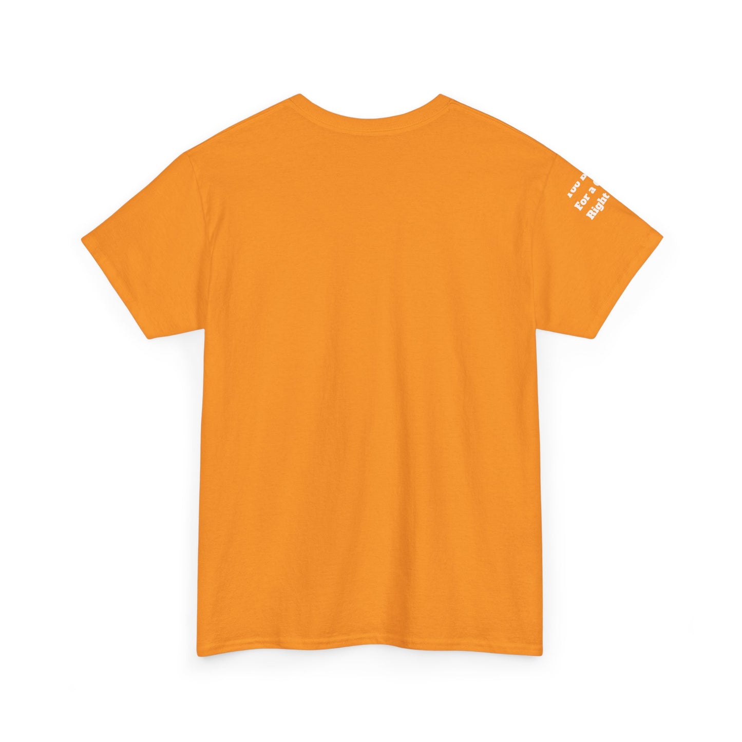 Too Broke for a Crisis Right Now, Humorous, Sarcastic T-Shirt, Frontside Graphic Tee