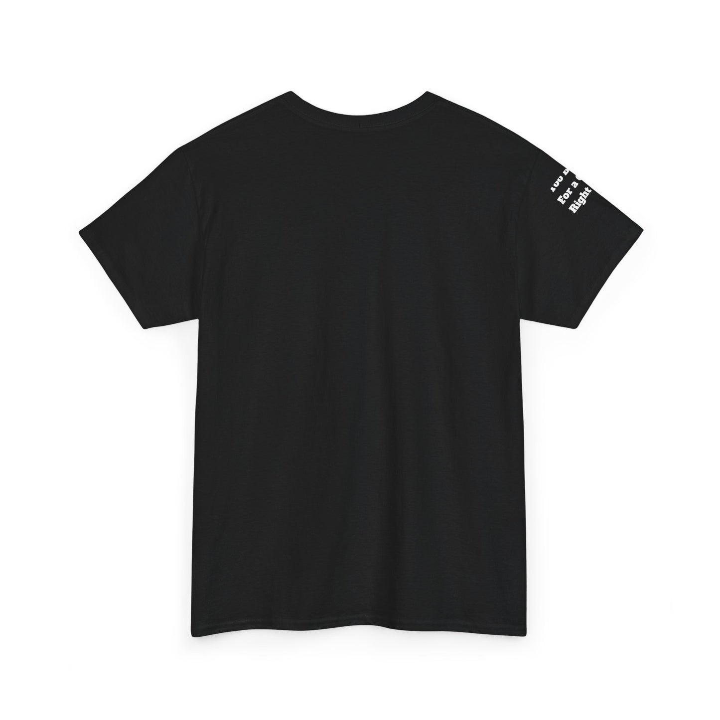 Too Broke for a Crisis Right Now, Humorous, Sarcastic T-Shirt, Frontside Graphic Tee